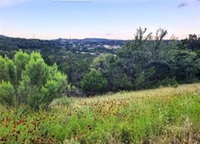 628  Angelica Vista, Canyon Lake, TX 78133 — photo 6