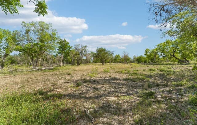 2324 E Chavaneaux, San Antonio, TX 78214 — photo 3