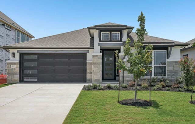 11131  Fruit Dove Trail