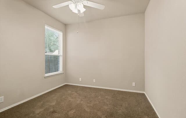 2616  Gallant Fox Dr, Schertz, TX 78108 — photo 10
