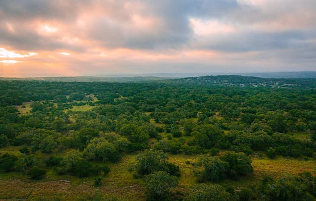 000  Elm Lookout, Spring Branch, TX 78070 — photo 3