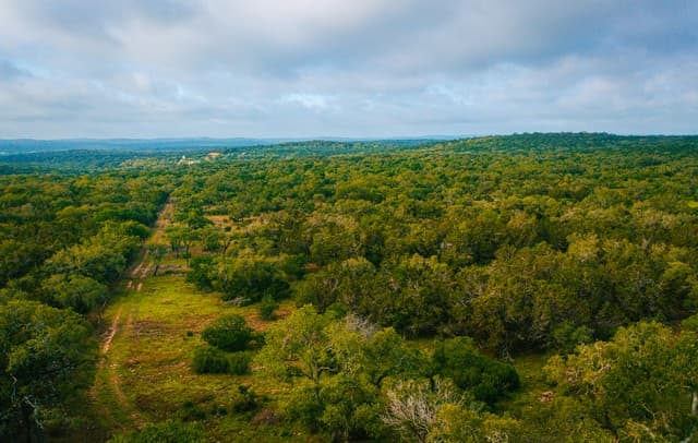 000  Elm Lookout, Spring Branch, TX 78070 — photo 5