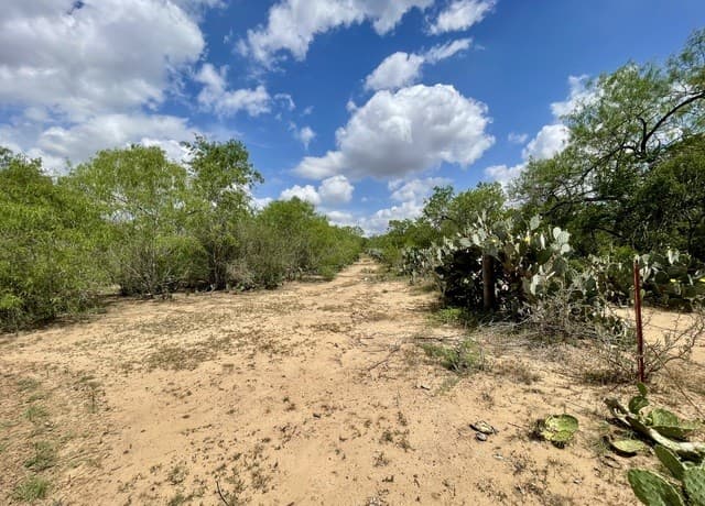 2566  Fm 539, La Vernia, TX 78121 — photo 10