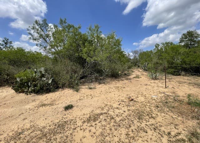 2566  Fm 539, La Vernia, TX 78121 — photo 11