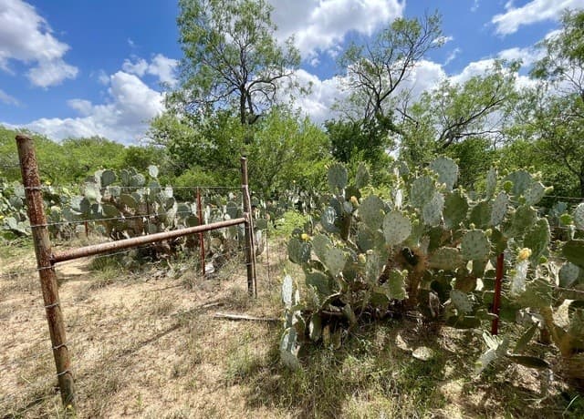 2566  Fm 539, La Vernia, TX 78121 — photo 12