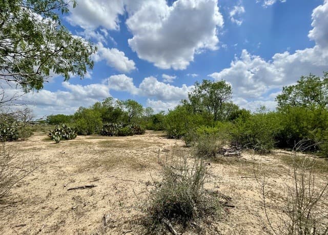 2566  Fm 539, La Vernia, TX 78121 — photo 5