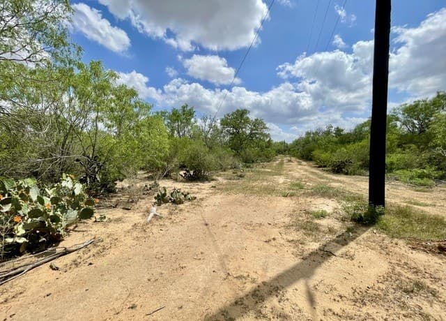2566  Fm 539, La Vernia, TX 78121 — photo 6