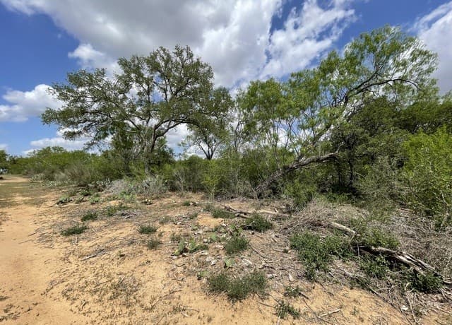 2566  Fm 539, La Vernia, TX 78121 — photo 7