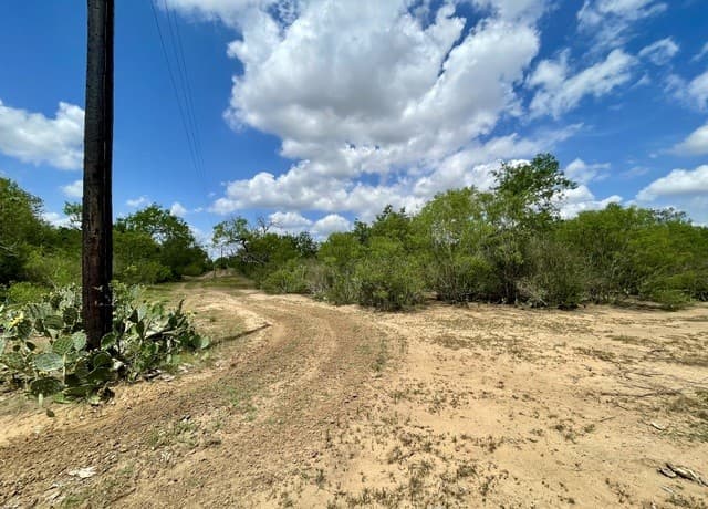2566  Fm 539, La Vernia, TX 78121 — photo 8