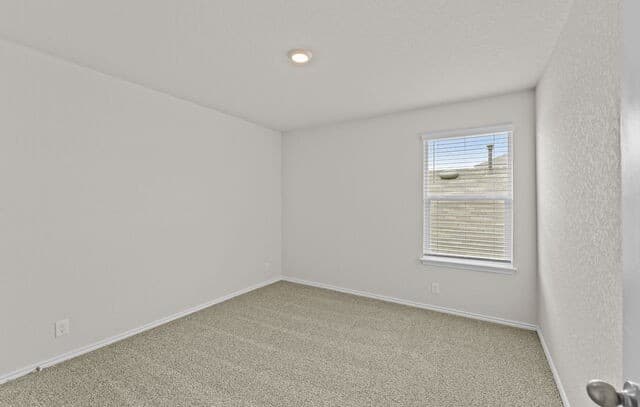 5863  Cosmic Crisp, San Antonio, TX 78252 — photo 22