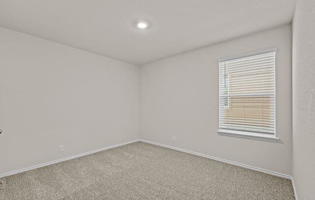 10713  Dazzle, San Antonio, TX 78252 — photo 10