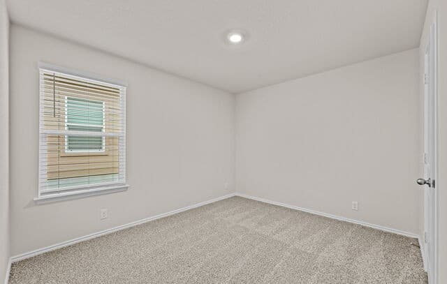 10713  Dazzle, San Antonio, TX 78252 — photo 8