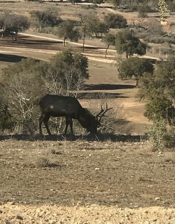 LOT 78  Red Stag Lane, Pipe Creek, TX 78023 — photo 6