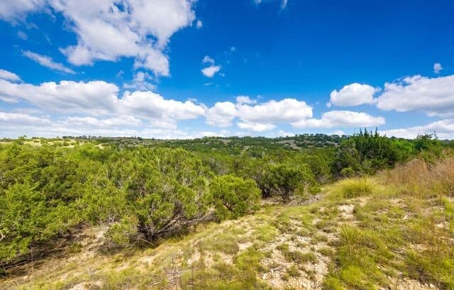 LOT 046  Falling Oak Dr, Blanco, TX 78606 — photo 11