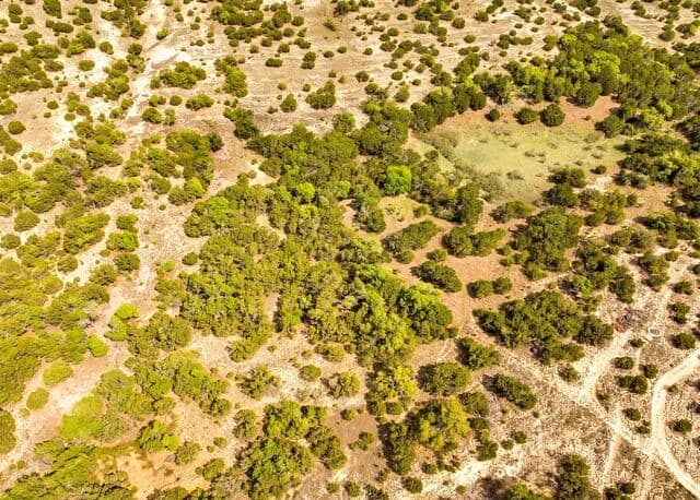 LOT 046  Falling Oak Dr, Blanco, TX 78606 — photo 15