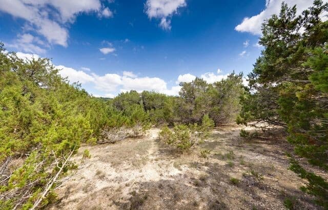 LOT 046  Falling Oak Dr, Blanco, TX 78606 — photo 20