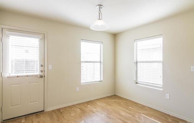 2242  Fishing Trail, San Antonio, TX 78224 — photo 7