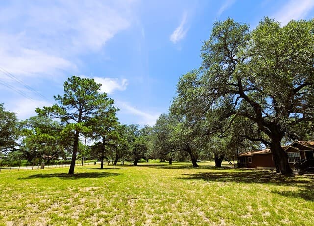 799  County Road 6612, Devine, TX 78016 — photo 13