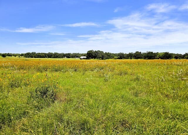 799  County Road 6612, Devine, TX 78016 — photo 22