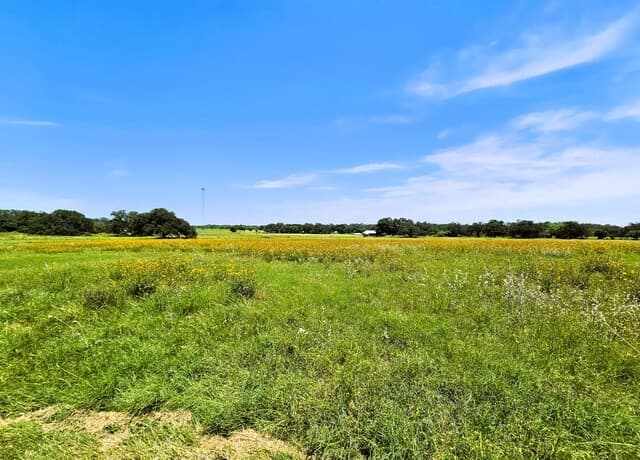 799  County Road 6612, Devine, TX 78016 — photo 24