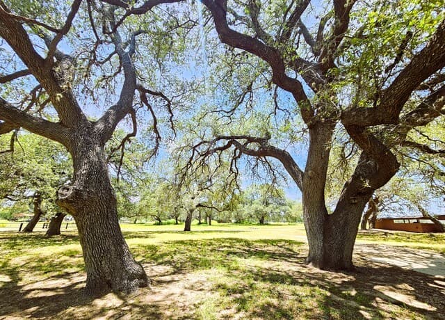 799  County Road 6612, Devine, TX 78016 — photo 25