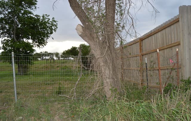 2880  Blue Wing Rd., San Antonio, TX 78221 — photo 15