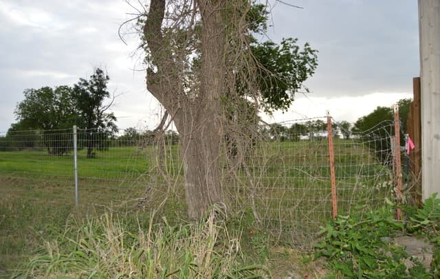 2880  Blue Wing Rd., San Antonio, TX 78221 — photo 8