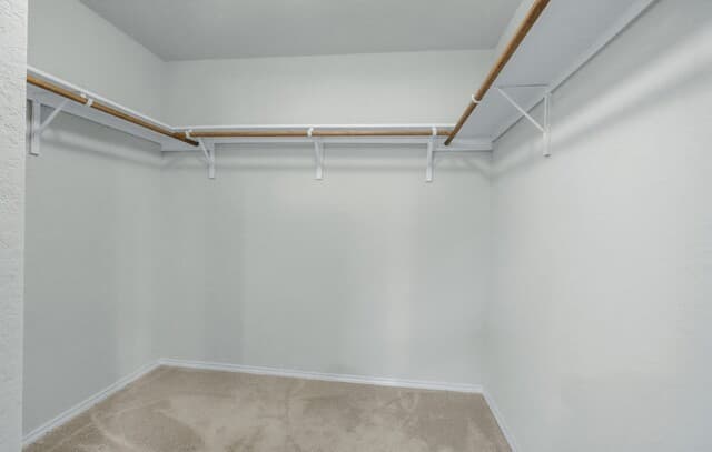 6854  Hibiscus Fls, San Antonio, TX 78218 — photo 21