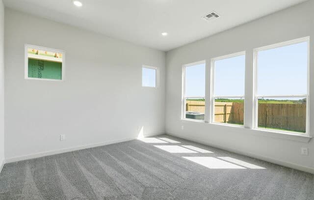 10262  Bartenheim Drive, Schertz, TX 78154 — photo 12