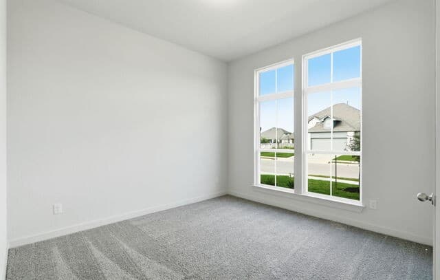 10262  Bartenheim Drive, Schertz, TX 78154 — photo 18