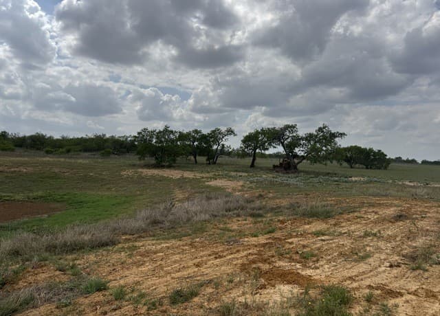 00  County Road 405, Floresville, TX 78114 — photo 11