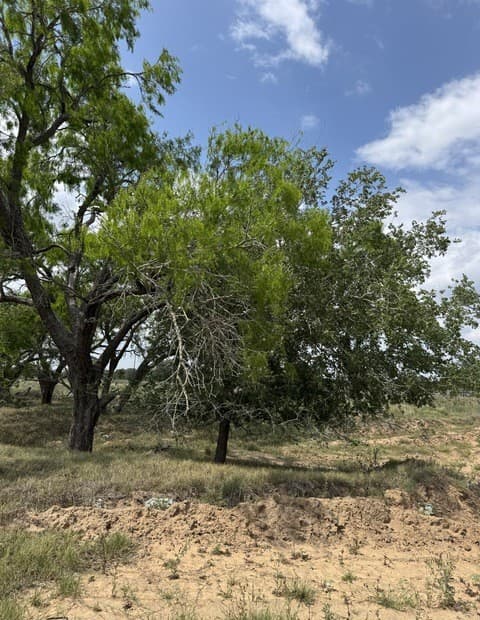 00  County Road 405, Floresville, TX 78114 — photo 3