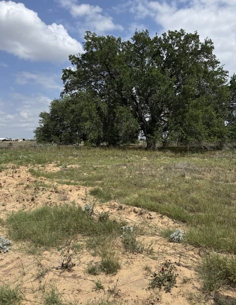 00  County Road 405, Floresville, TX 78114 — photo 4