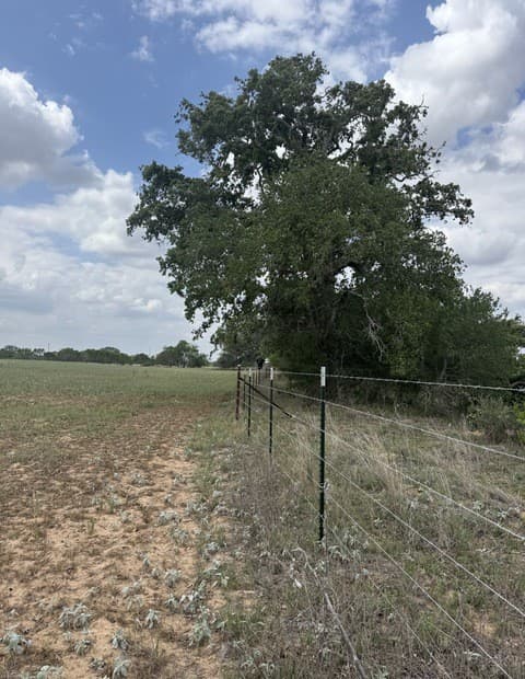 00  County Road 405, Floresville, TX 78114 — photo 5