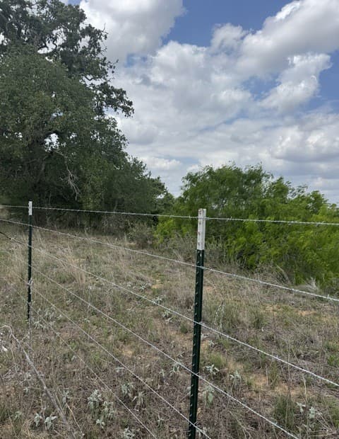 00  County Road 405, Floresville, TX 78114 — photo 6