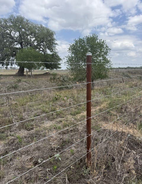 00  County Road 405, Floresville, TX 78114 — photo 7