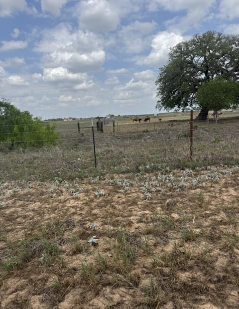 00  County Road 405, Floresville, TX 78114 — photo 8