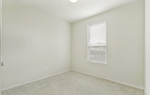 10628  Rayburn Lndg, San Antonio, TX 78252 — photo 12