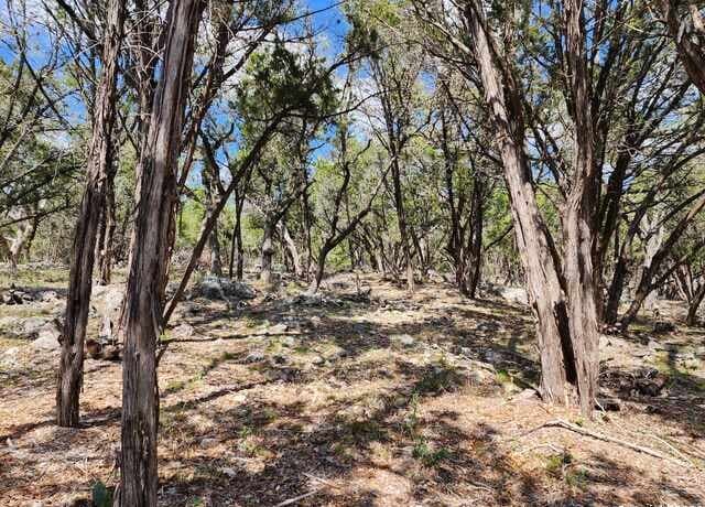 LOT 18/19  Forest Lake Dr, Spring Branch, TX 78070 — photo 10