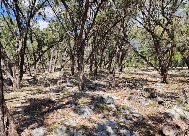 LOT 18/19  Forest Lake Dr, Spring Branch, TX 78070 — photo 11