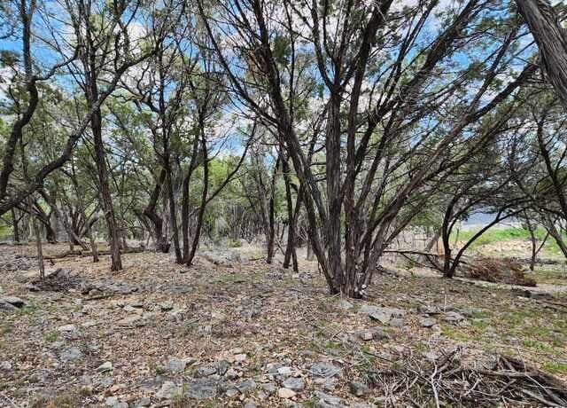 LOT 18/19  Forest Lake Dr, Spring Branch, TX 78070 — photo 12