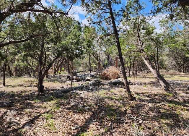 LOT 18/19  Forest Lake Dr, Spring Branch, TX 78070 — photo 13