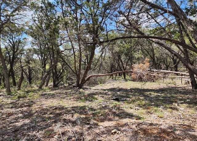 LOT 18/19  Forest Lake Dr, Spring Branch, TX 78070 — photo 14