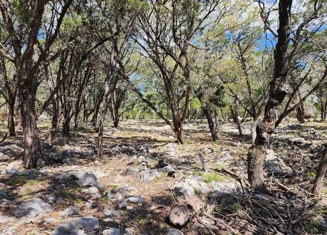 LOT 18/19  Forest Lake Dr, Spring Branch, TX 78070 — photo 15