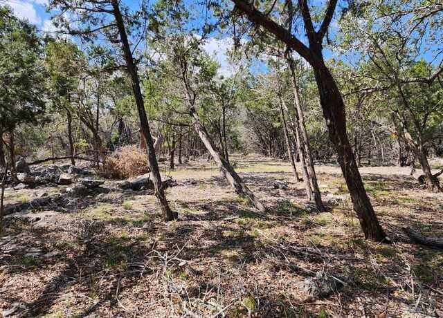 LOT 18/19  Forest Lake Dr, Spring Branch, TX 78070 — photo 2