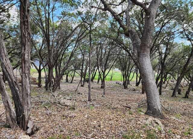 LOT 18/19  Forest Lake Dr, Spring Branch, TX 78070 — photo 3