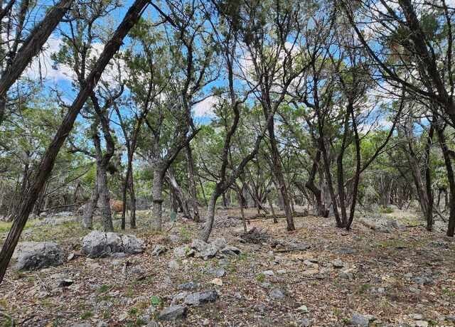 LOT 18/19  Forest Lake Dr, Spring Branch, TX 78070 — photo 5