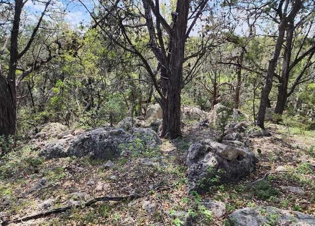 LOT 18/19  Forest Lake Dr, Spring Branch, TX 78070 — photo 6