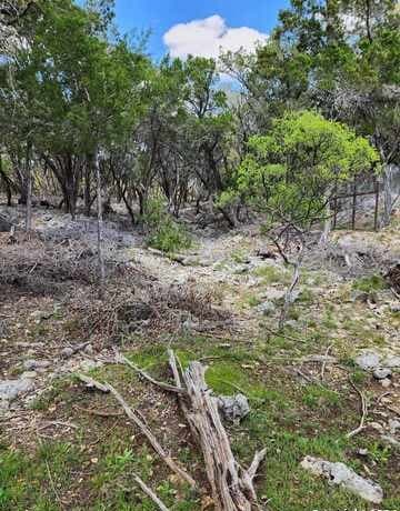LOT 18/19  Forest Lake Dr, Spring Branch, TX 78070 — photo 7