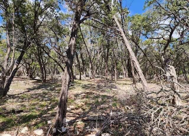 LOT 18/19  Forest Lake Dr, Spring Branch, TX 78070 — photo 8